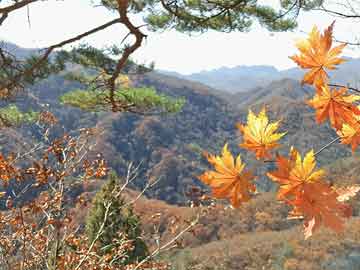 刀光剑影入弦歌，武术元素古风歌曲推荐，燃尽江湖豪情
